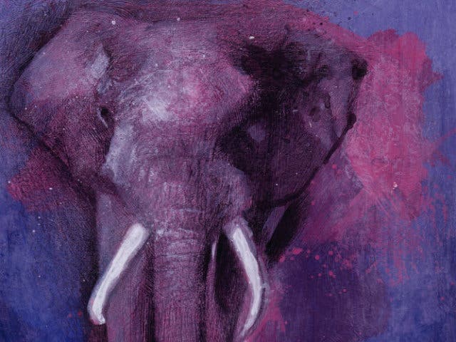 The Purple Elephants Flames Like Ruby Gems