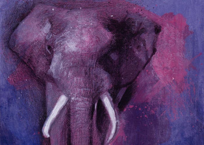 The-Purple-Elephants